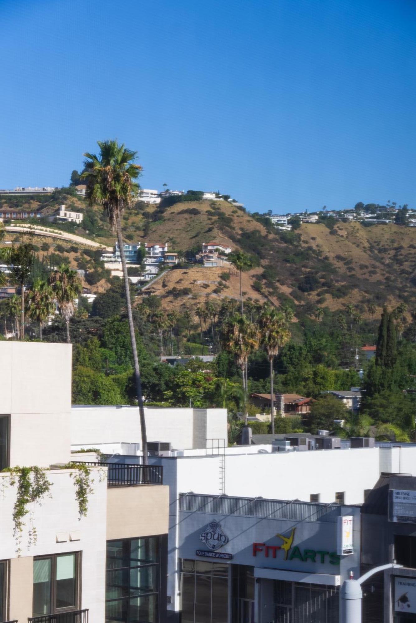 Bright Studio On Sunset Blvd, Free Parking, Gym, And Pool Los Angeles Exteriér fotografie
